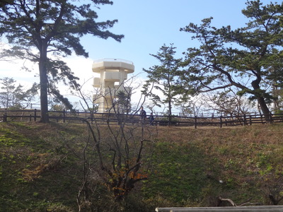 f0219674_2183227.jpg