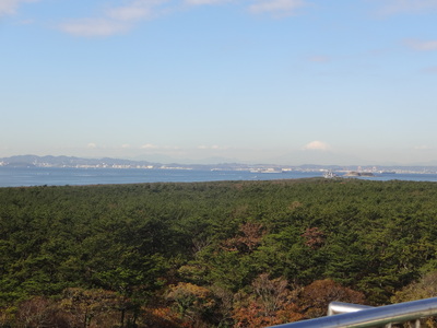 f0219674_219920.jpg