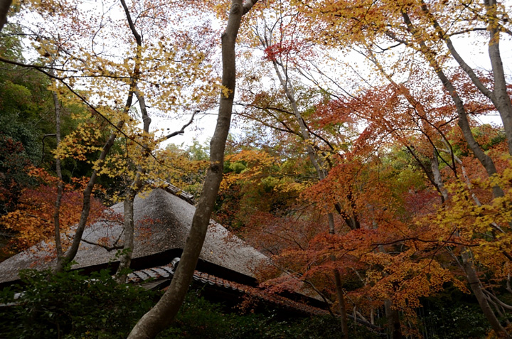 f0108478_20535540.jpg