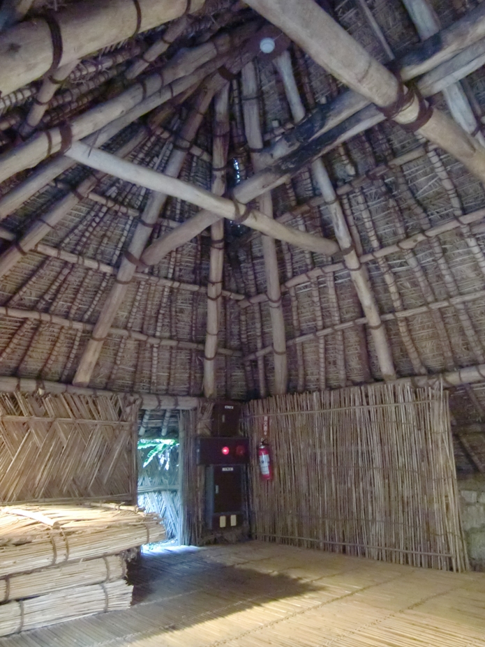 f0238779_07170293.jpg
