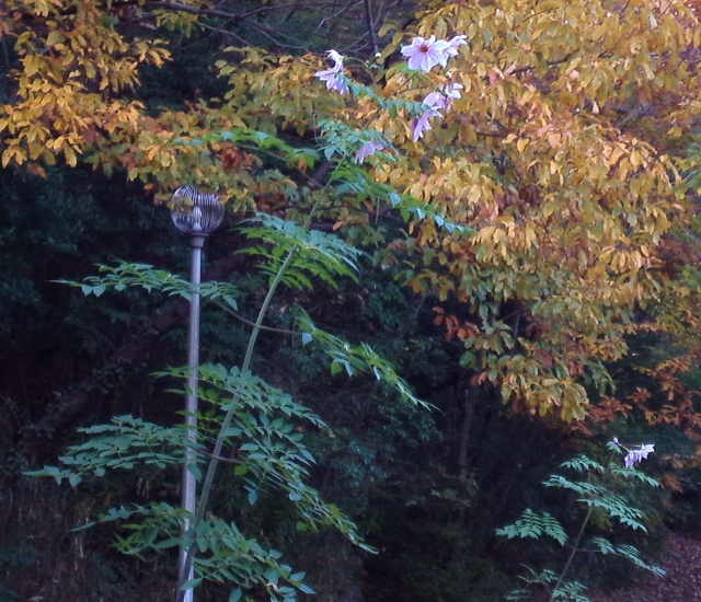 b0307692_15315139.jpg
