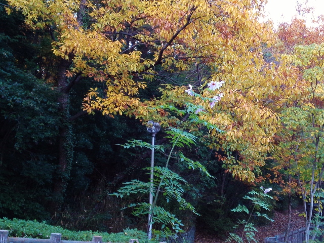 b0307692_15322443.jpg