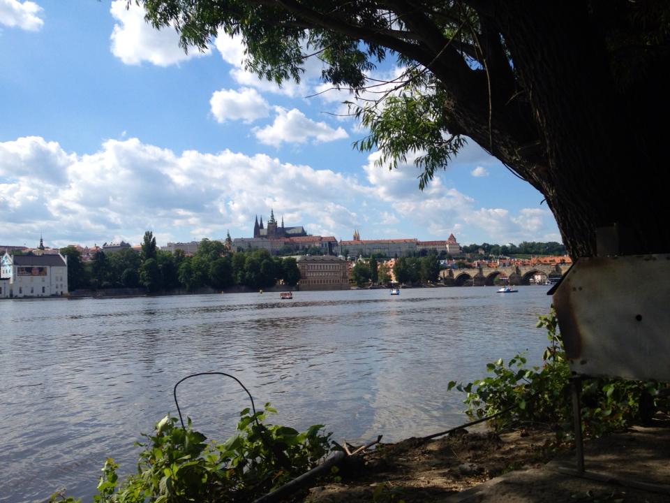e0161692_2362069.jpg