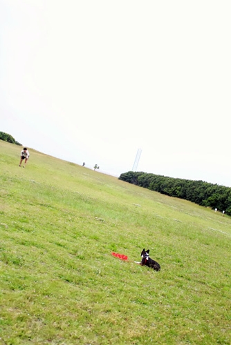 e0229992_12542980.jpg