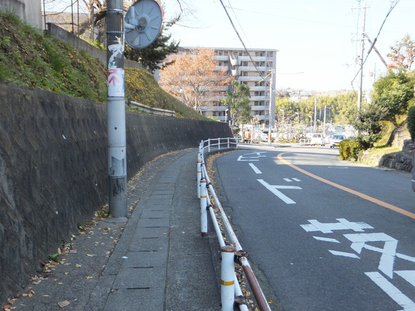 b0212898_1750361.jpg