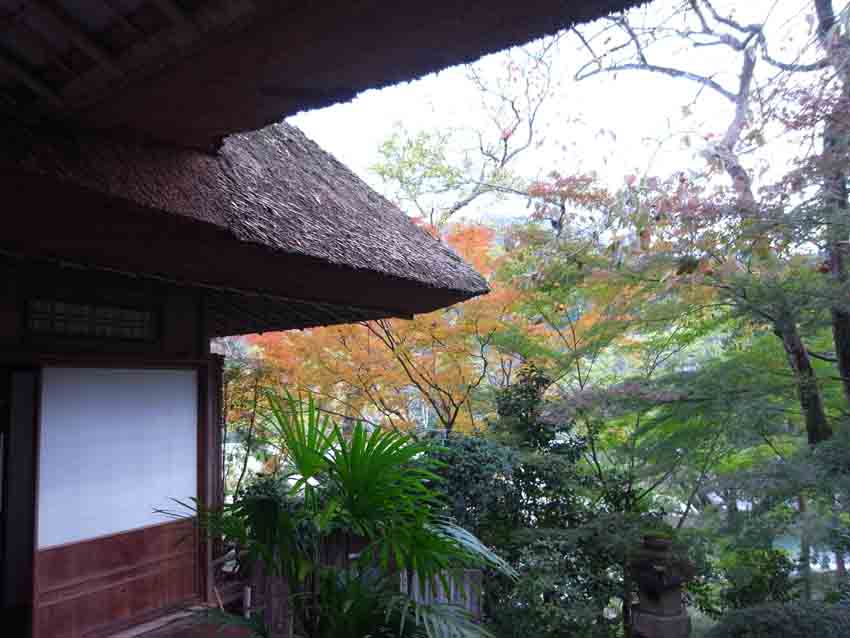 a0315601_23503582.jpg