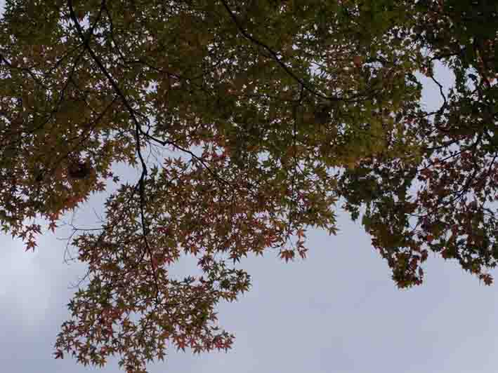 a0315601_23504840.jpg