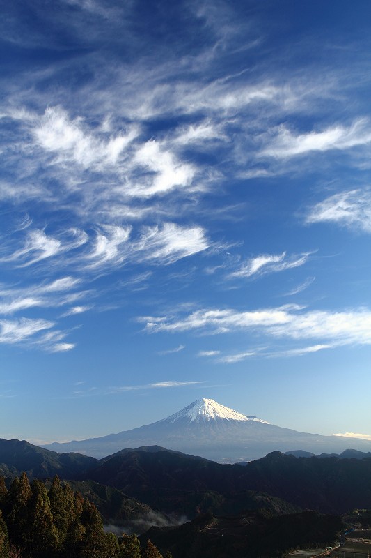 a0188405_14213277.jpg