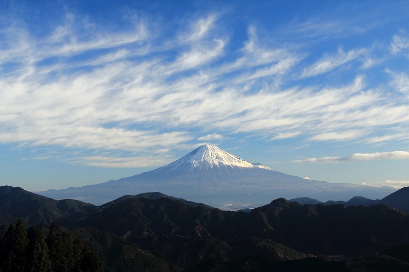a0188405_14234431.jpg
