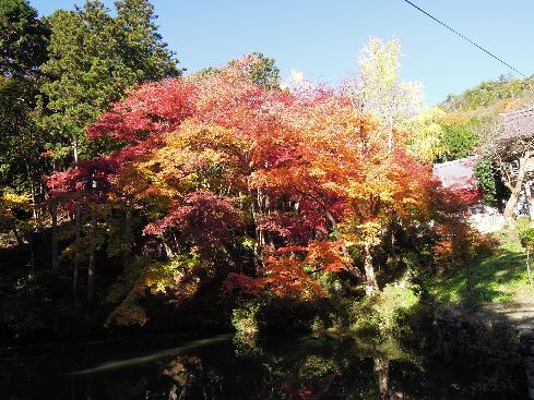 c0149408_14524552.jpg