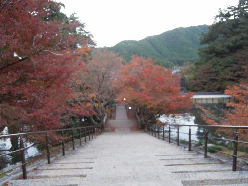 c0149408_1542383.jpg