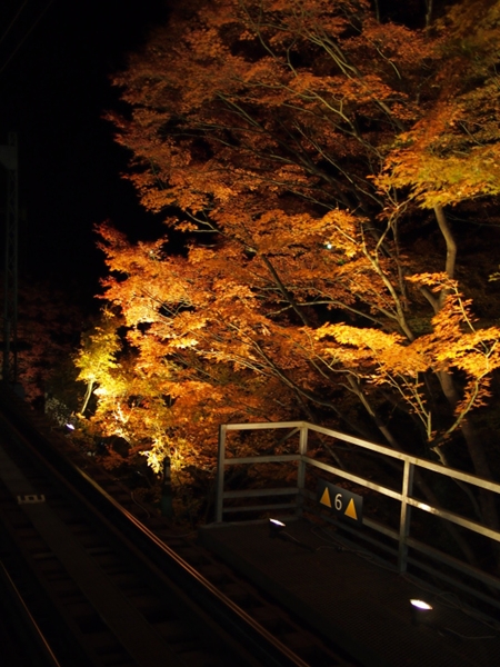 b0244811_23241170.jpg