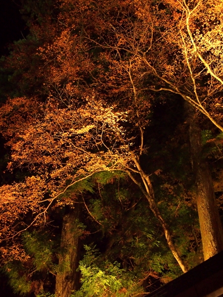 b0244811_2328960.jpg