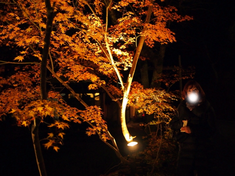 b0244811_23585632.jpg
