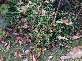 e0233111_2154775.jpg