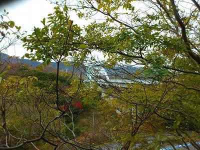 f0100911_21434033.jpg