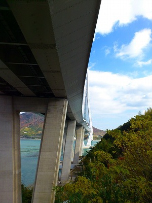 f0100911_21444750.jpg