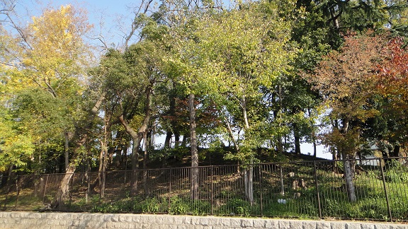f0000521_21224338.jpg