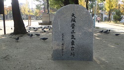 f0000521_2294463.jpg