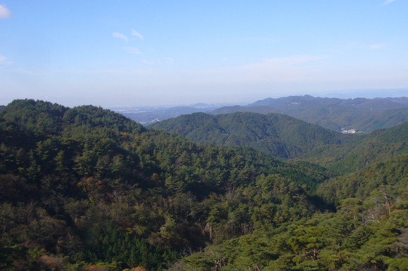a0226627_218719.jpg