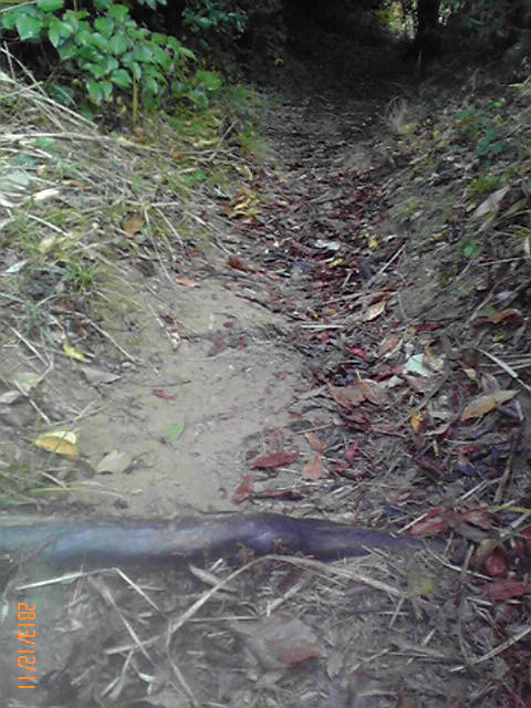 b0222530_17142593.jpg