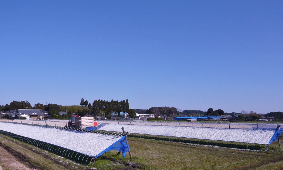 a0206332_11354465.jpg