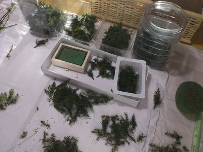 d0158141_95135.jpg