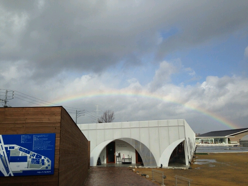 c0295742_22332417.jpg