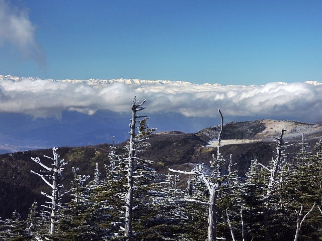 b0122448_18573575.jpg