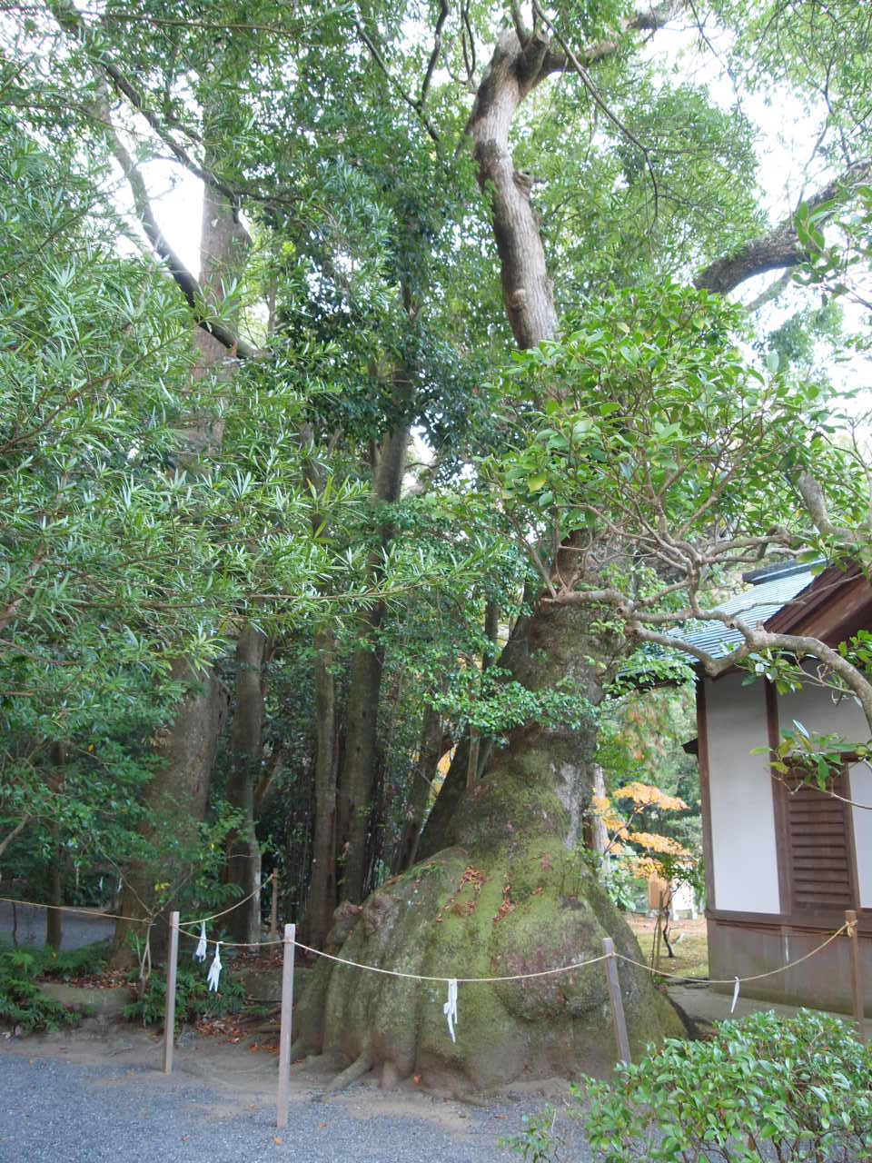e0158363_1418372.jpg