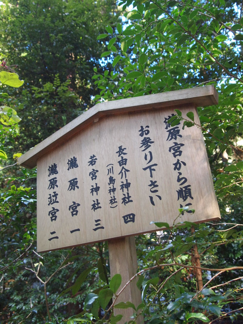 e0158363_15373446.jpg