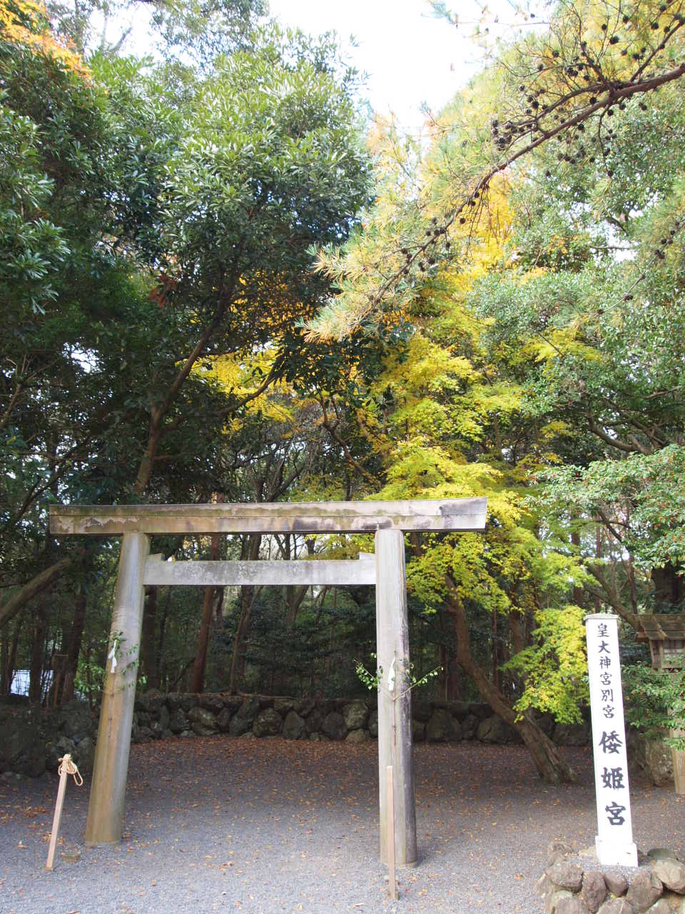 e0158363_1575856.jpg