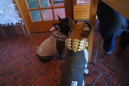 c0298565_04553100.jpg