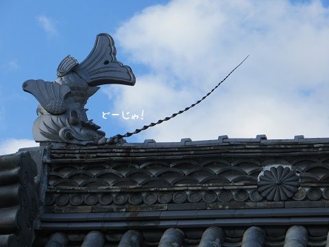 d0120665_2240563.jpg