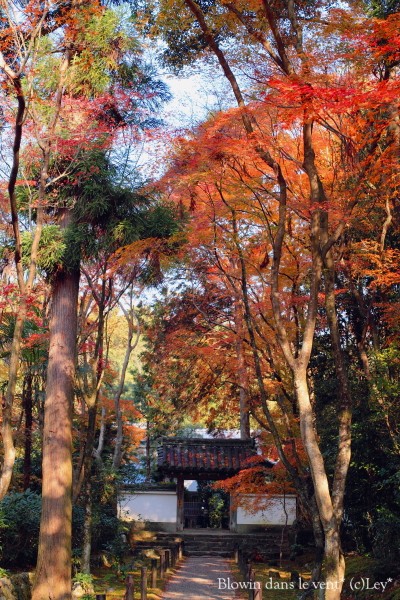 f0251765_15452129.jpg