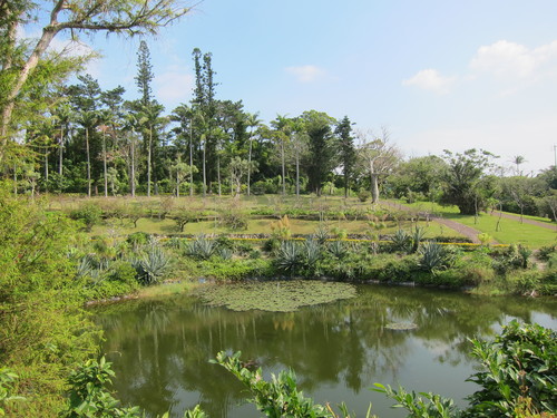 c0153966_18473214.jpg