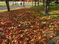 c0117570_1341457.jpg