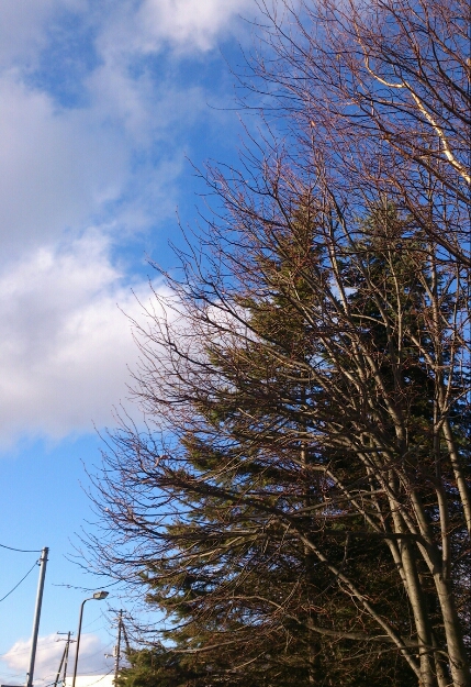 c0311170_20385583.jpg