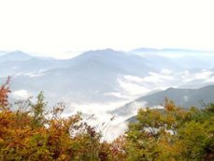 d0226273_1249466.jpg