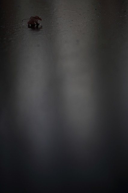 d0255874_519556.jpg