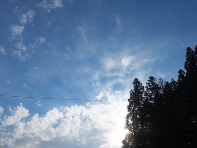 a0180681_1837547.jpg