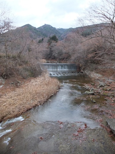a0180681_2131198.jpg