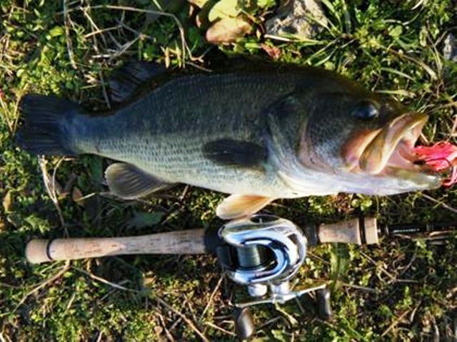 e0052088_2012962.jpg