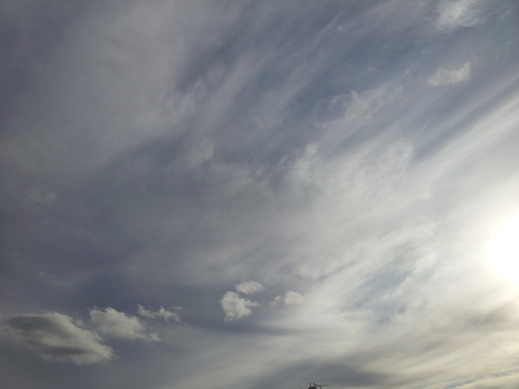 d0239796_145193.jpg