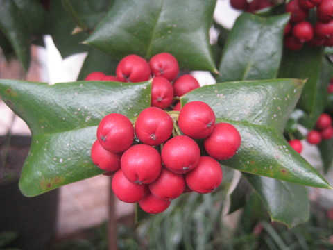 f0201297_012464.jpg