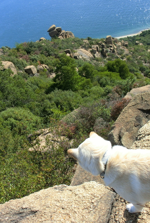 f0248120_204337100.jpg