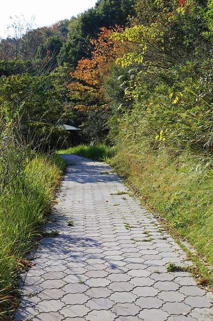 a0242438_21163149.jpg