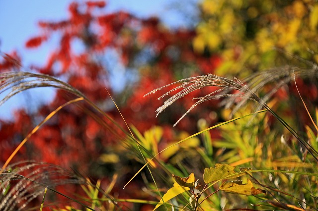 a0242438_21164218.jpg