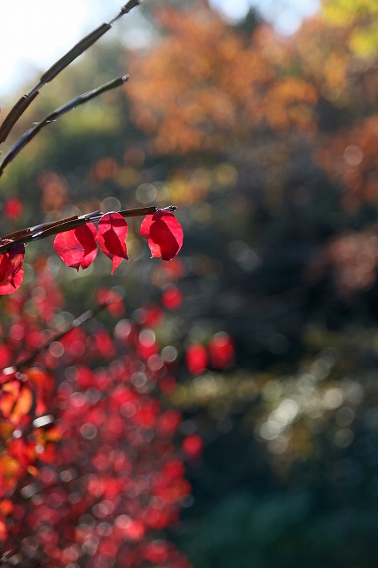 a0242438_2117420.jpg