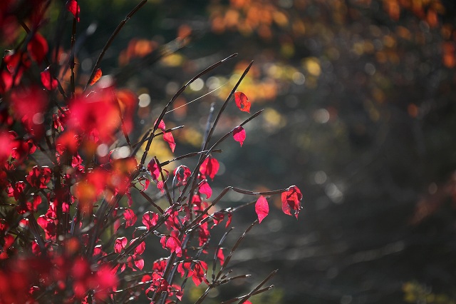 a0242438_2117836.jpg